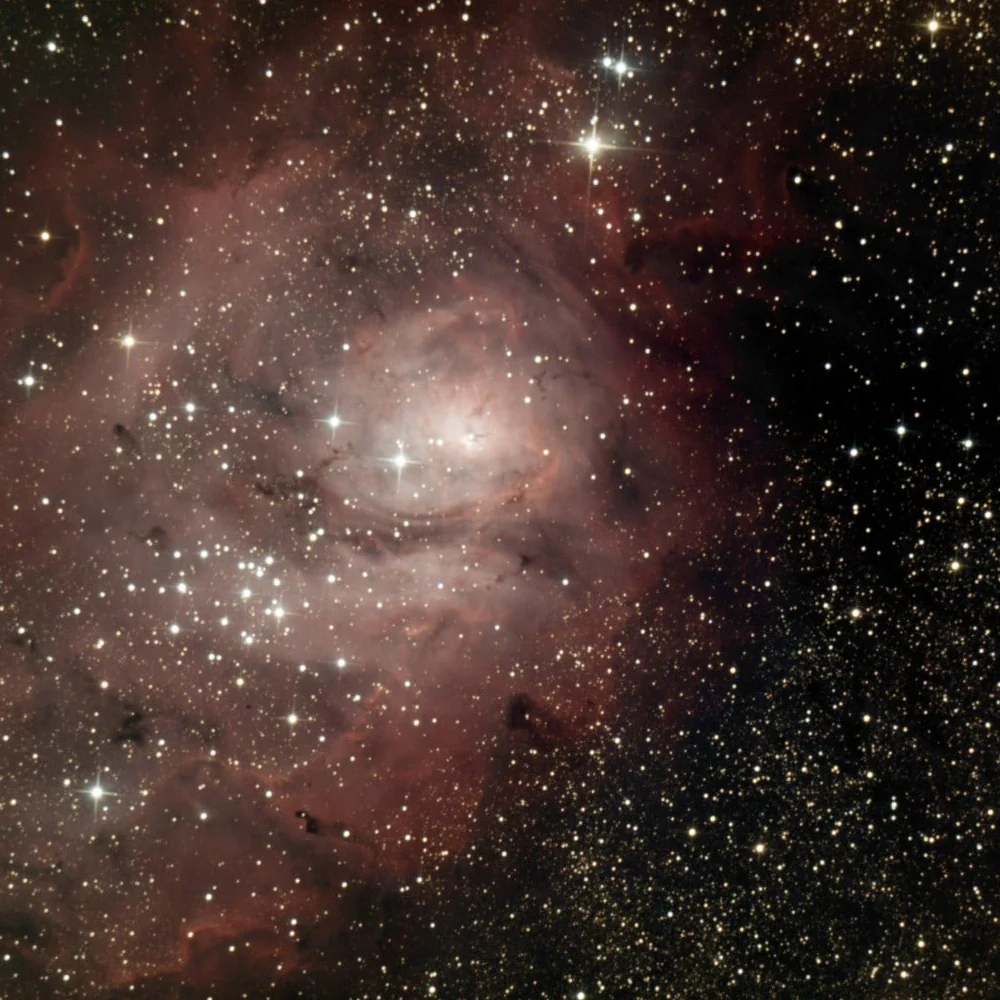 FIN200 - Farpoint Imaging Newtonian Telescope f/6 - Image 5